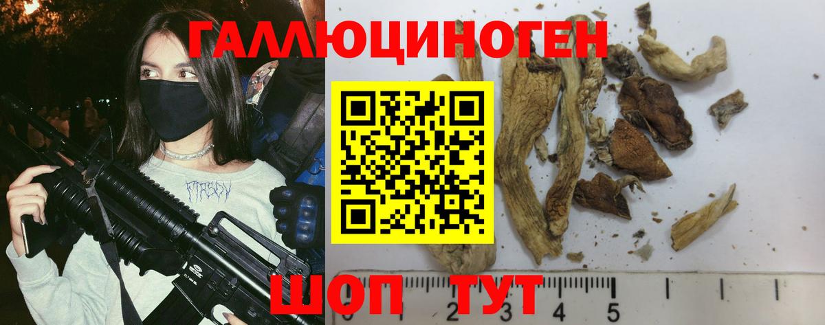 Галлюциногенные грибы GOLDEN TEACHER  Галлюциногенные грибы Magic Shrooms  Вход с VPN  Дюртюли 